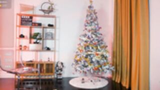 baeasian 2025-12-11_05-34-04-012