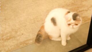 jenny_lylu 22-04-19-037