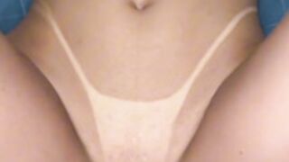 Brazilian Tassiarauj