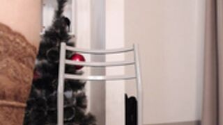 lianayun_2025-01-02_14-51