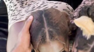 MiiAmor BBC BGG Blowjob