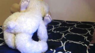 HotNiyathi -14 (Teddy Show-8)P