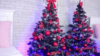 Carla Whites Christmas tree