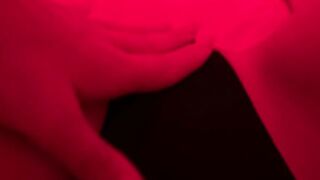 corinna kopf rubbing her kitty