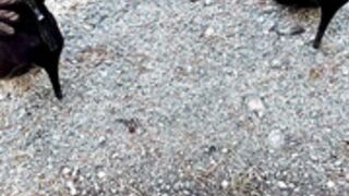 Electric Joanna - Bodystocking