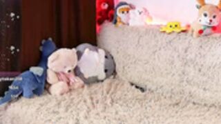 boobsvibe-2026-01-23 1/3