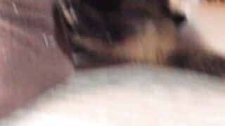 silkencrave 2026_01_06 - 3