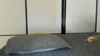 akime_girl-cb-2026-01-21 3