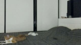 akime_girl-cb-2026-01-24 1