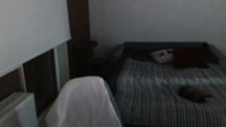 in_yan 2026-01-27_17-37-28