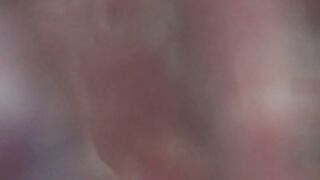 Neferpitaa