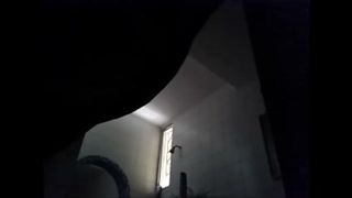 Espiando a paloa En al Ducha