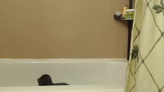 Charlotte1996 - 2016-08-26 - 01