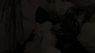 AshleyTea - Possession