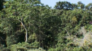 Tormenta W4B - Outdoor Fuck Machine