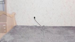 Nika_tailor 2025.04.14 2