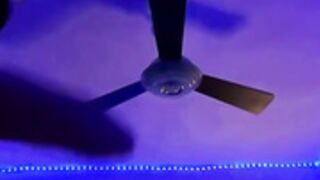 Girl strips live