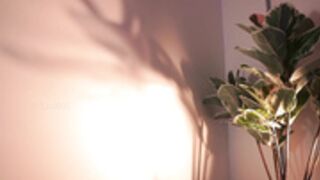 letiziafulkers1-cb-2023-11-21 3