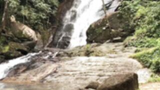 SweetieFox-DND RolePlay