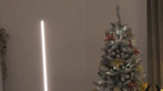 Alissa-2024-Dec-22-01