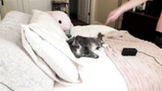 CB_eve003300_July-30-2024_03-24-58