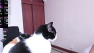sumeragi_cat 22