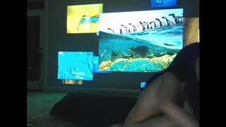 Katiekat fidget spinner buttplug