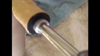 Mollyboots and friend