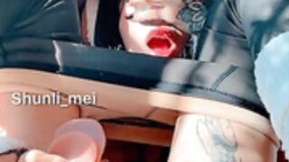 Shunli mei 15
