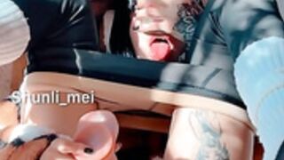 Shunli mei 15