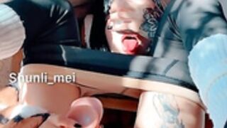 Shunli mei 15