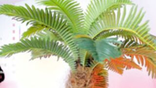 maya_lisa_2026-02-07_03-56-55_312