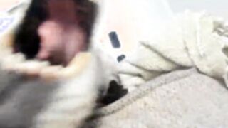 Belphoebe MagicMoans chloe_mfc xx-chloe-x BdayBelphoebe 215