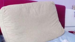 pam_fans_2026-02-20_09-52-48_746