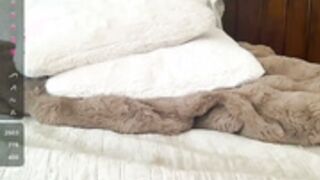 Jade_Lee 6/16/25 & 7/8/25