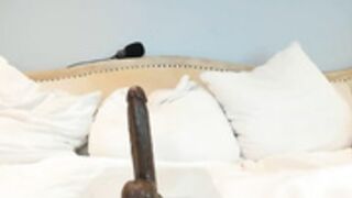 Eatmygingersnapps 4/8/25