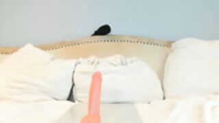 Eatmygingersnapps 3/14/25