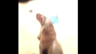 Prima Se Deja Gravar