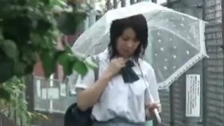 Sharking Love Japanesse