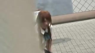 Sharking Love Japanesse