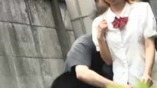 Sharking Love Japanesse