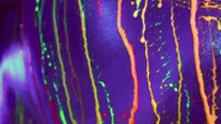 a melody of the colors