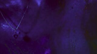 a melody of the colors