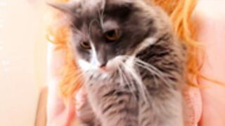 silkencrave 2026_03_01 - 2