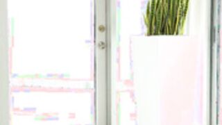 New Amateur Crush - Renee Rose