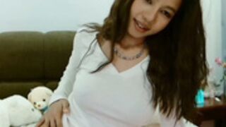 hersheys_aran 2026-02-19_14-02-37