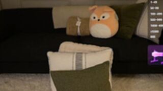 Sophie_Fennec 2024-12-26 - Part 02