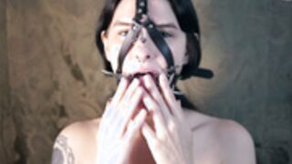 Harness spider gag and nosehook