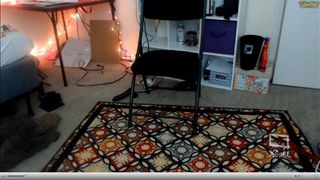 little_mischief 2017-06-11