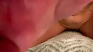 spicywetlex 03022025 1